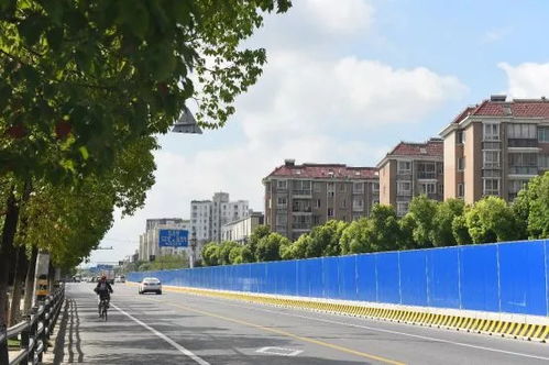 陆翔路、南中北三大工程与宝山道路精准整治同步推进，多项民生实事迎最新进展